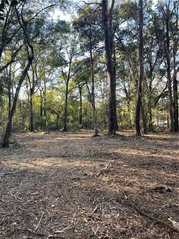 TBD Harvey Lavigne Rd, Ponchatoula, LA 70454 - photo 3