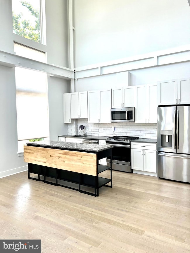 3018 12th St NE unit 3, Washington, DC 20017 - photo 6