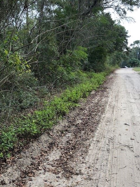 0 Stanley Dr unit 1, Crawfordville, FL 32327 - photo 3