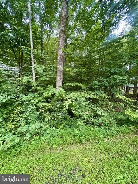 LOT 385 & 957 N Lakeshore Dr, Louisa, VA 23093 - photo 2