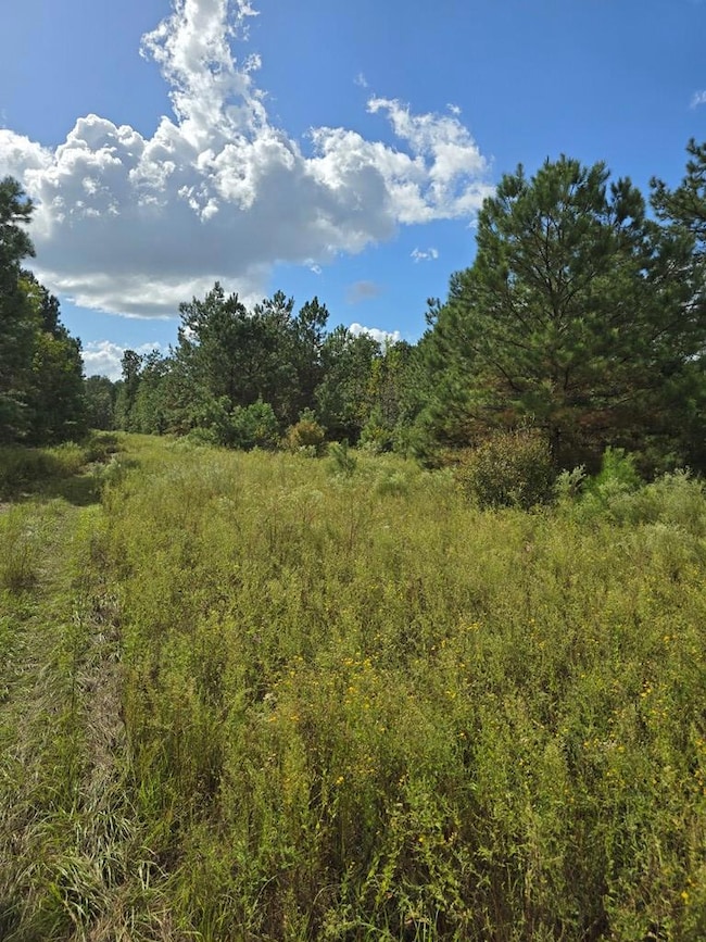 6069 Mullins Ln, Naylor, GA 31641 - photo 4