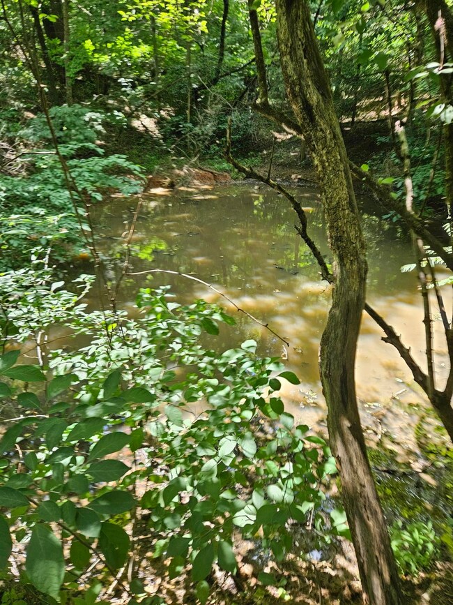 3.39 acres Mossy Creek Rd, Mount Solon, VA 22843 - photo 6