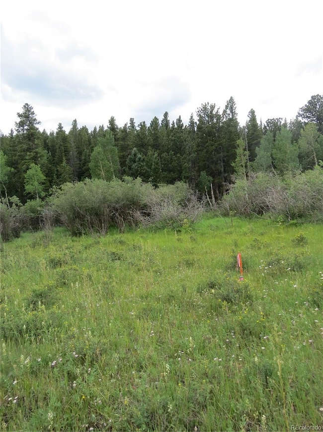 0 Peak To Peak Hwy unit REC2002177, Nederland, CO 80466 - photo 2