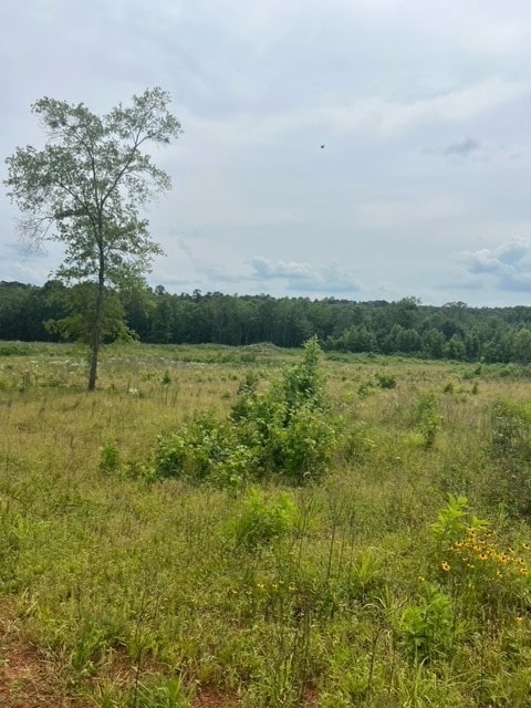 View of nature with rural landscape