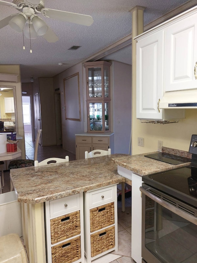 258 Lake Huron Dr, Mulberry, FL 33860 - photo 6