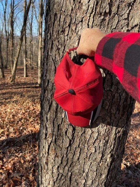 0 Tbd unit 1263583, Crosses, AR 72727 - photo 6