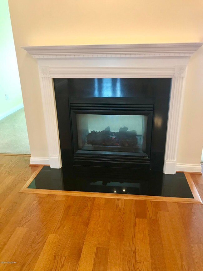 Dual Fireplaces
