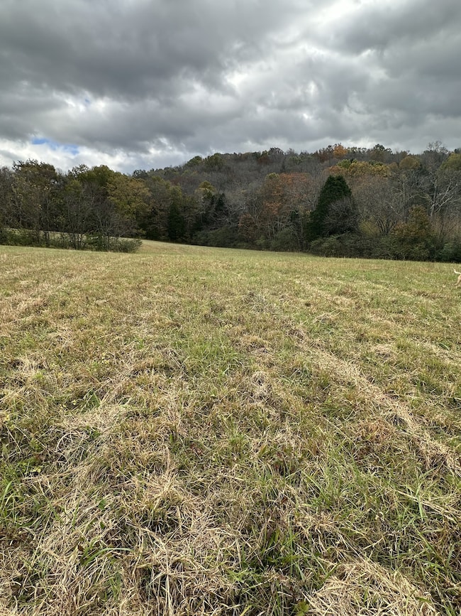 772 Rock Bridge Rd, Bethpage, TN 37022 - photo 7