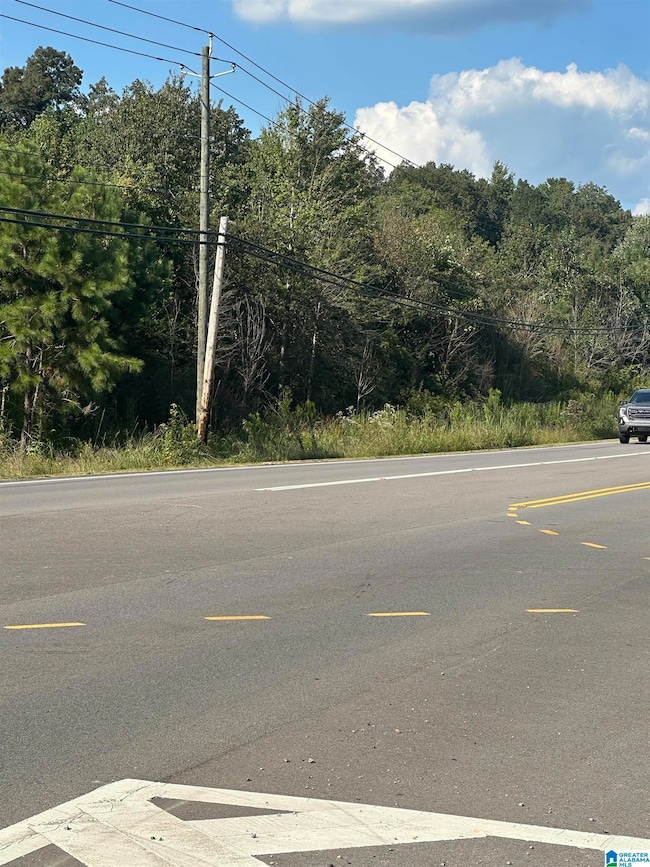 6690 A Gadsden Hwy, Trussville, AL 35173 - photo 5