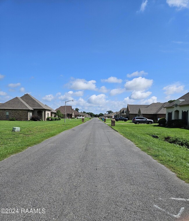 Neighborhood View