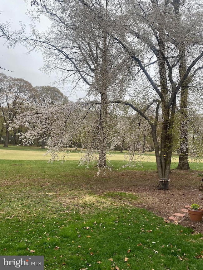 1516 Elwyn Ave, Crofton, MD 21114 - photo 4