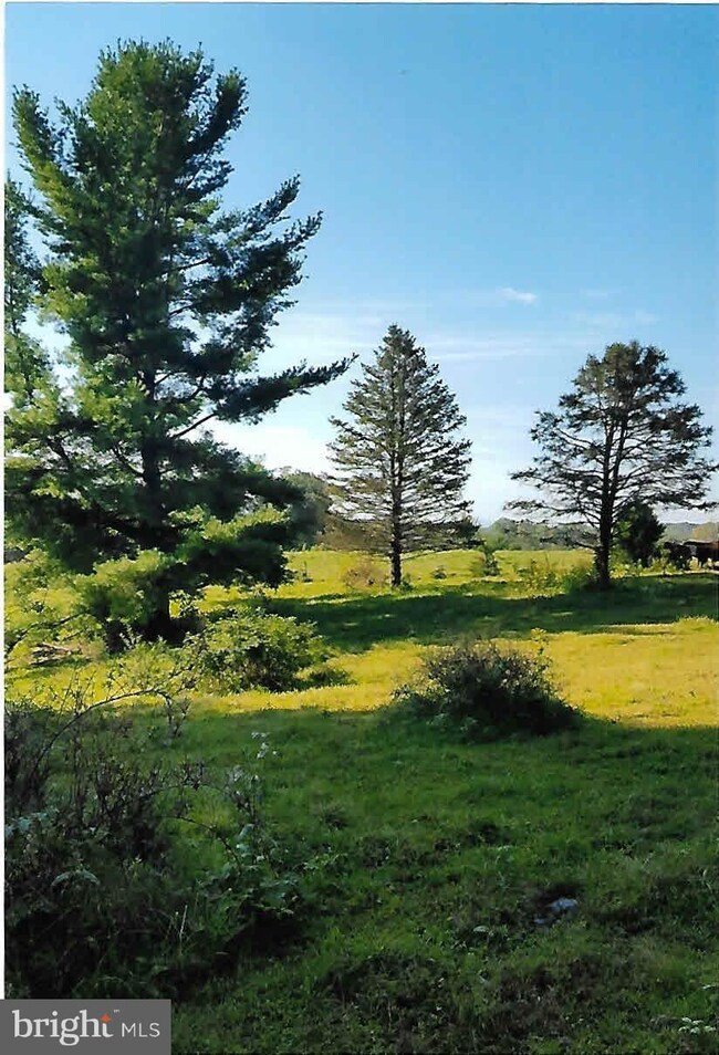 309 Pyletown Rd, Boyce, VA 22620 - photo 2