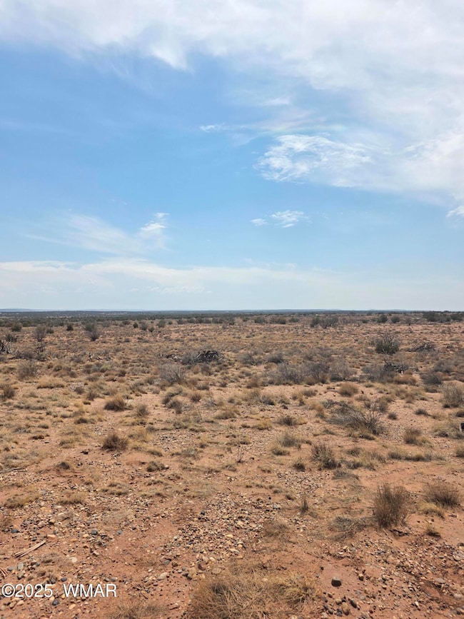 8317 Buckskin Trail, Snowflake, AZ 85937 - photo 6