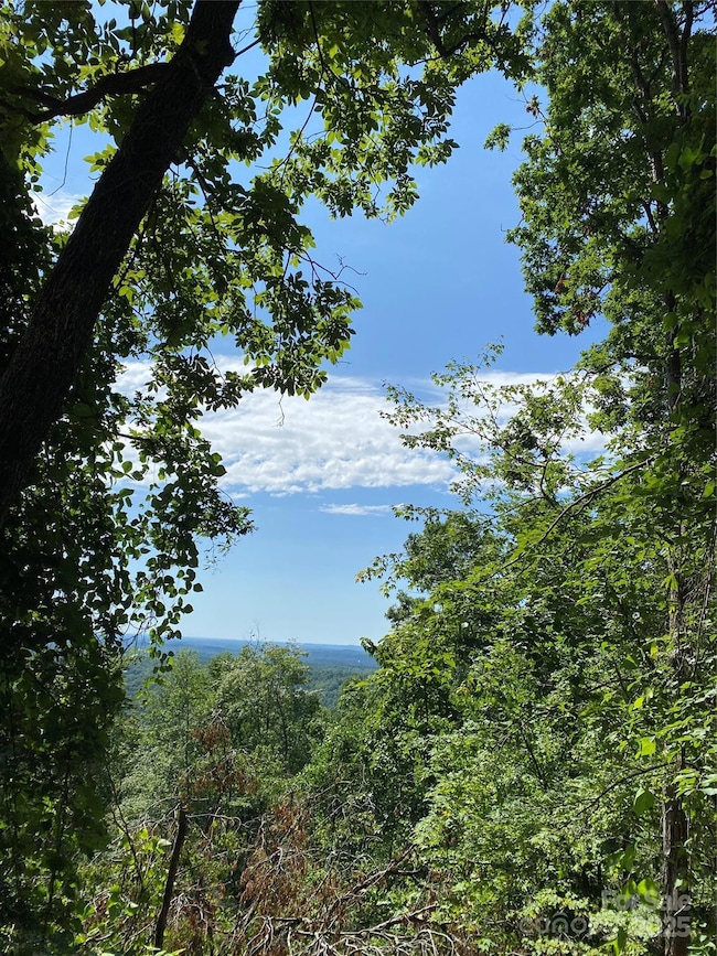 0 Winesap Blvd unit 81 CAR4297611, Lake Lure, NC 28746 - photo 3