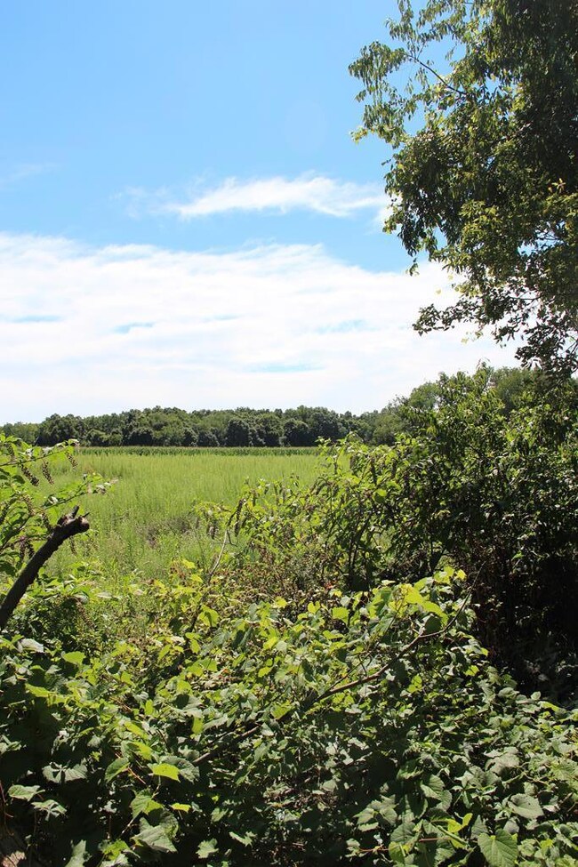 0 Township Road 133, Polk, OH 44866 - photo 4