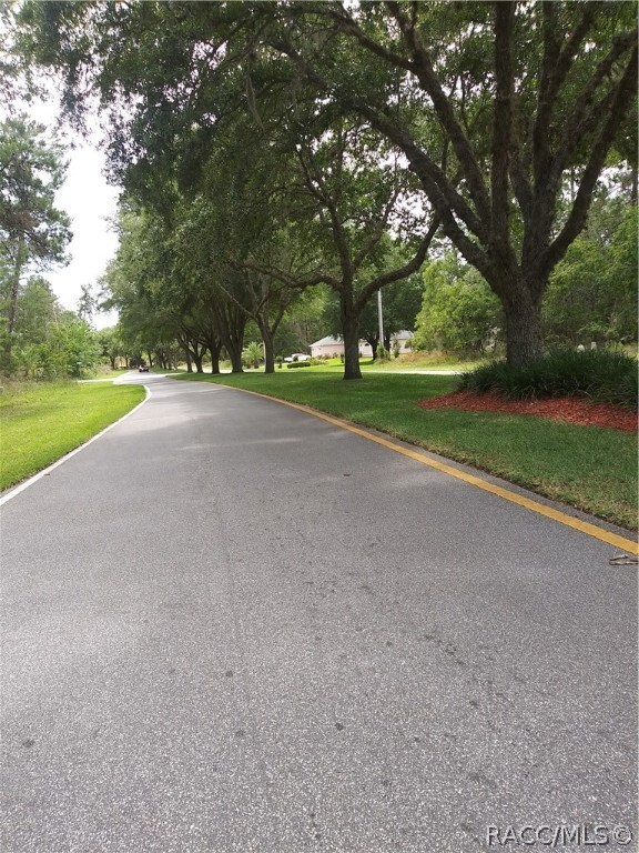 142 Daisy St, Homosassa, FL 34446 - photo 7