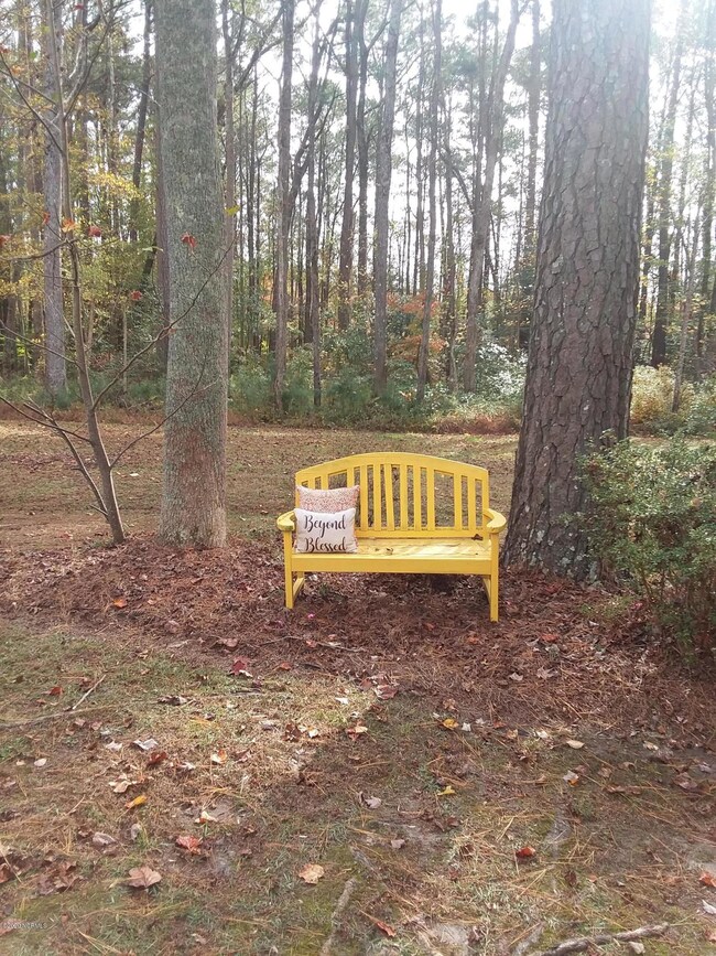 1221 W T Ross Rd, Williamston, NC 27892 - photo 5