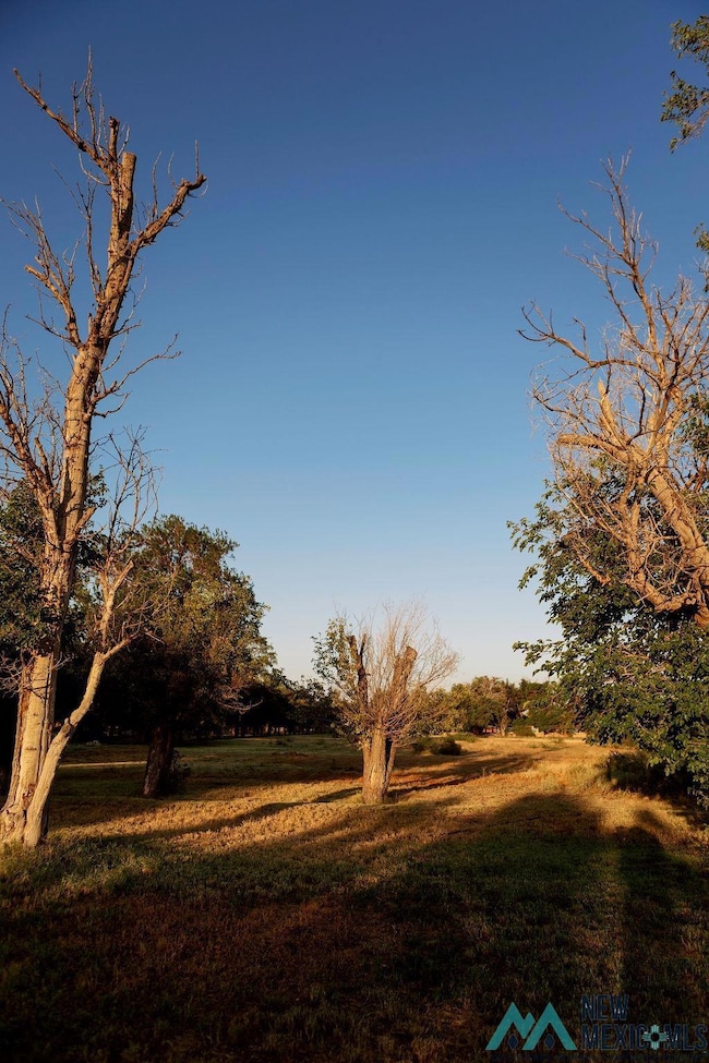 1301 N Canal St, Carlsbad, NM 88220 - photo 6