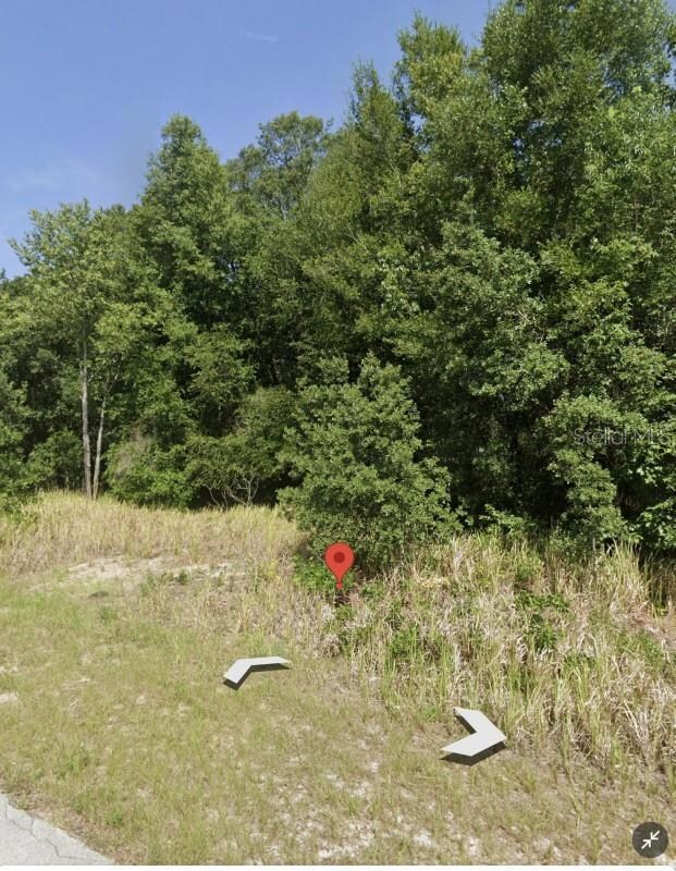 0 Dogwood Loop unit A4562371, Ocala, FL 34472 - photo 3