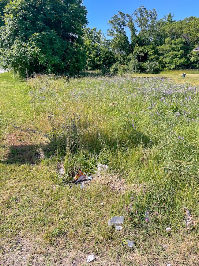 992 Highland Ave, Benton Harbor, MI 49022 - photo 5