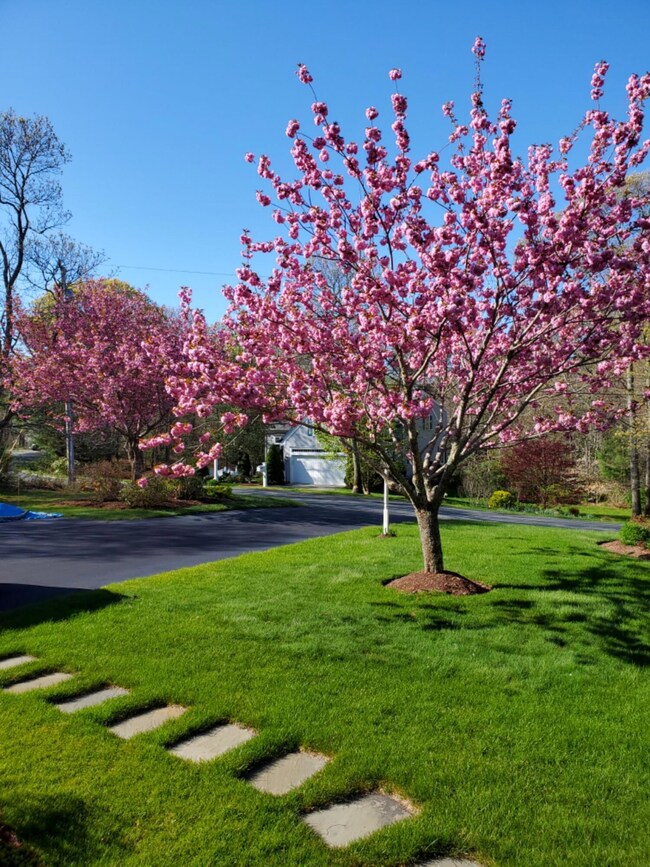 Spring