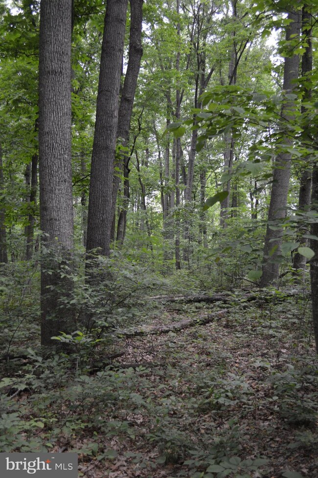 0 Wren Ln unit VASH116002, Strasburg, VA 22657 - photo 4