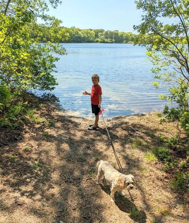 52 Goose Point Rd, Centerville, MA 02632 - photo 4