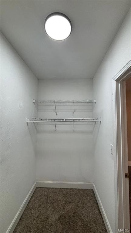 7166 Lyndover Place unit E, Maplewood, MO 63143 - photo 7