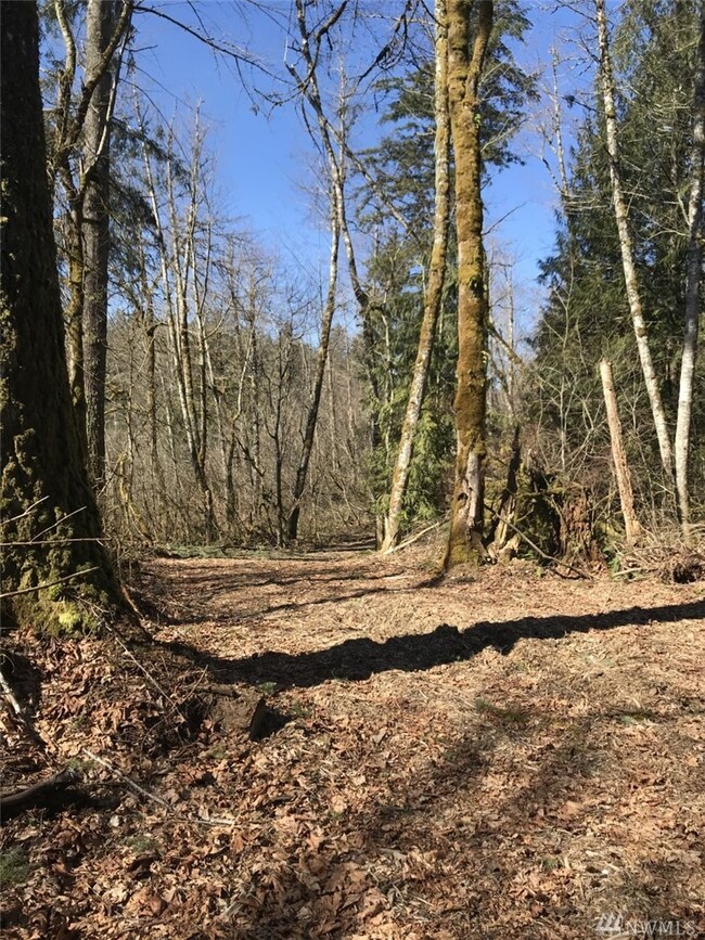 0 276th Way NE, Duvall, WA 98019 - photo 3