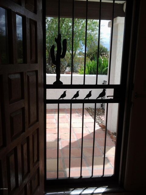 Back Door Security Door