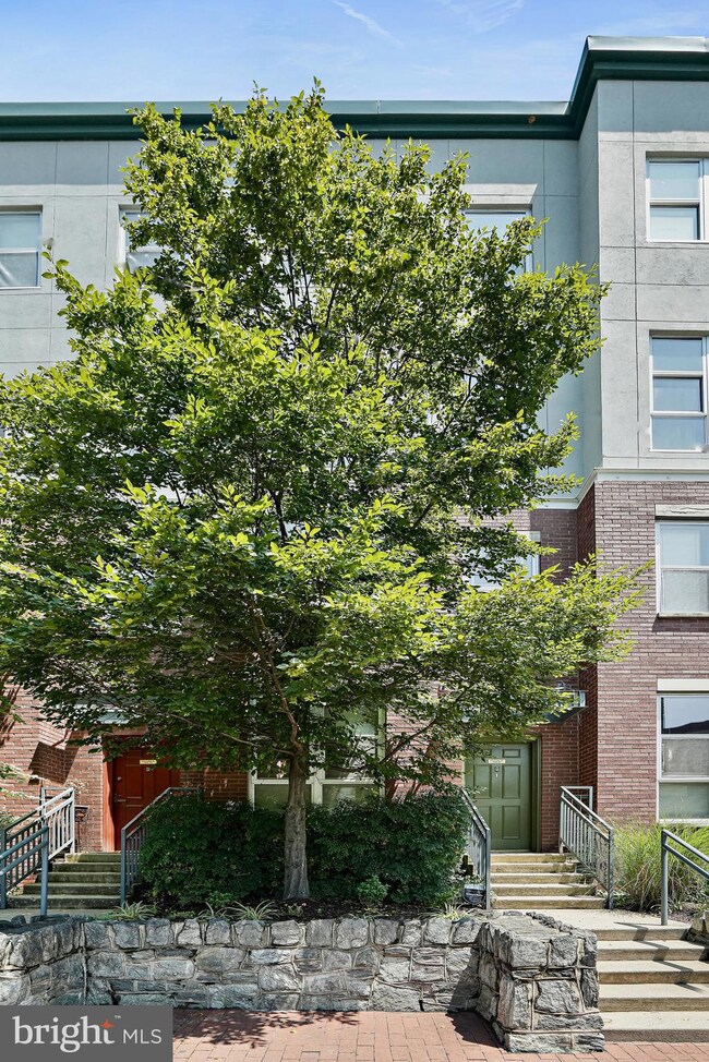 343 Cedar St NW unit 117, Washington, DC 20012 - photo 2