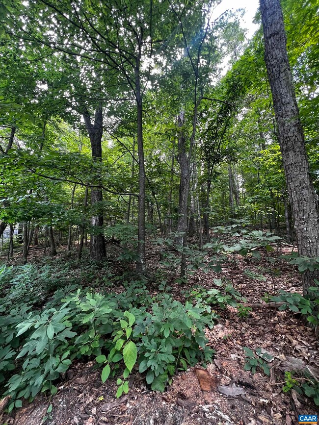 TBD Weeping Rock Ln, Wintergreen Resort, VA 22967 - photo 3