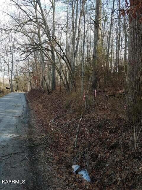 Old Cave Spring lot 2 road