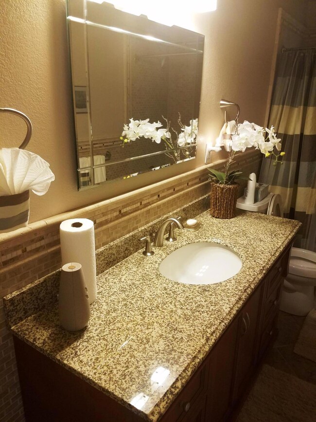 Bath with Granite