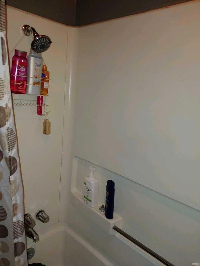 unlisted-address, Saint Louis, MO 63115 - photo 3