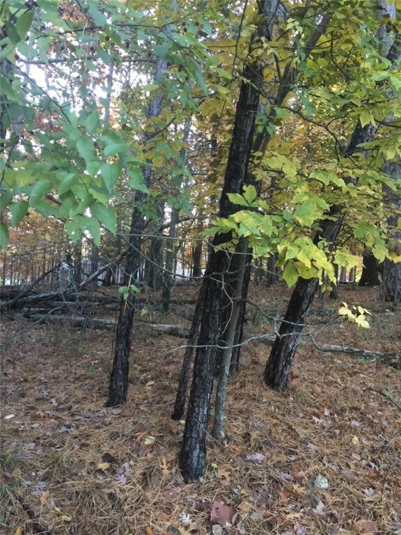 0 Iffley Ln, Bella Vista, AR 72714 - photo 3