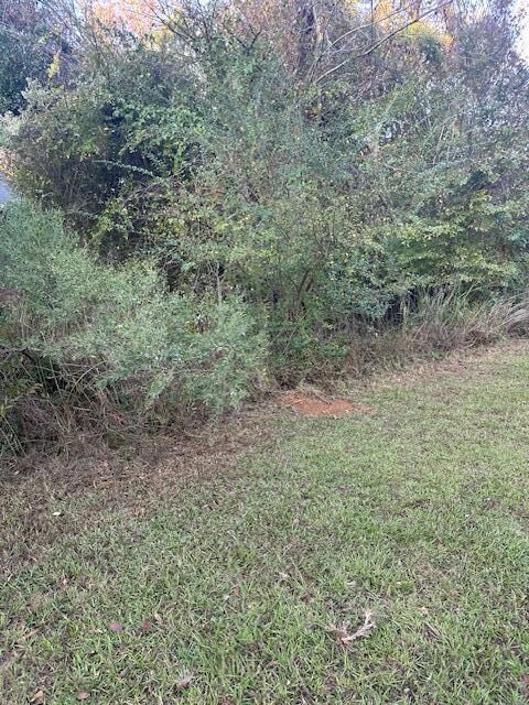 805 Leslie Ct, Evans, GA 30809 - photo 4