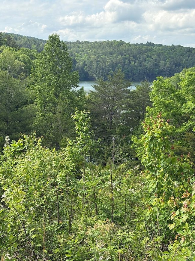 Lot 7 Foot Hill Estates, Nacoochee, NC 28906 - photo 3