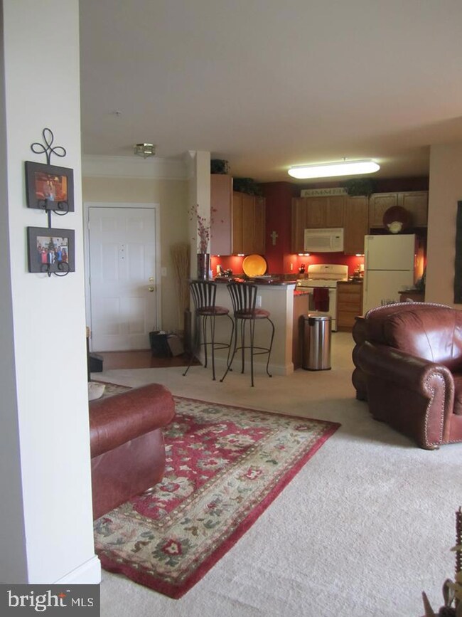 23620 Overlook Park Dr unit 203, Clarksburg, MD 20871 - photo 7