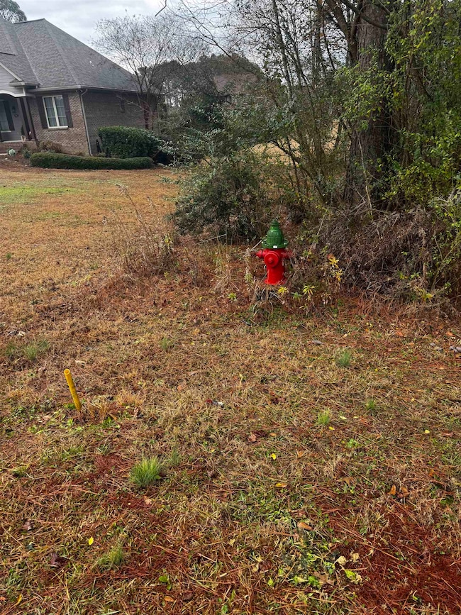 0 Clarendon Rd unit 526318, Good Hope, AL 35057 - photo 4