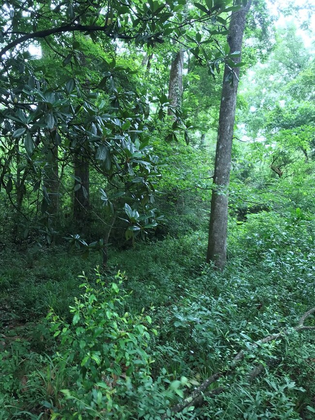 1106 Pike 93 N, McComb, MS 39648 - photo 5