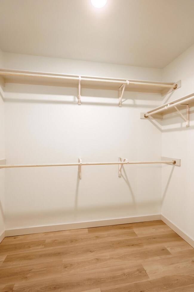 Primary Closet