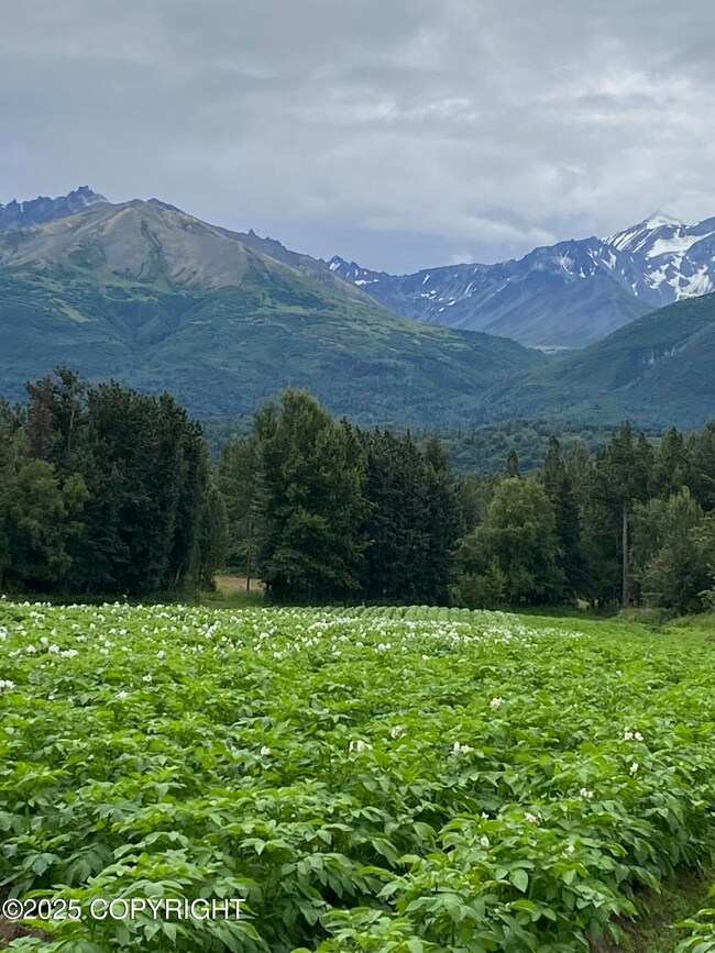 24220 E Bannon Way, Sutton-Alpine, AK 99674 - photo 5