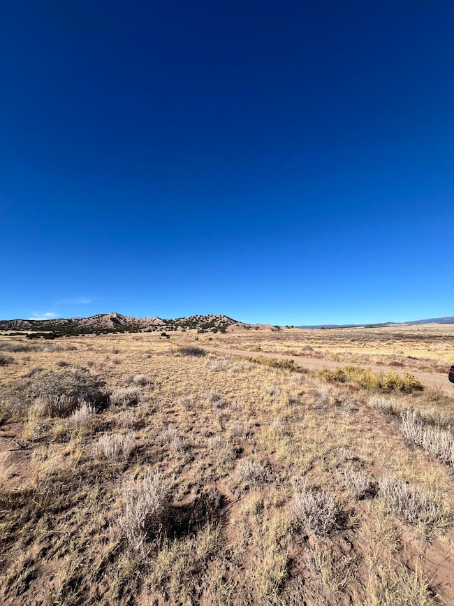 0 County Road 541 unit 95, Gardner, CO 81040 - photo 5