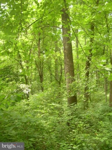 0 Cannon Ridge Ln unit 1004512532, Middleburg, VA 20117 - photo 5