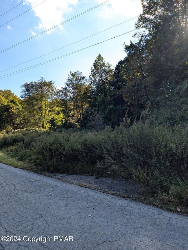 0 Collins St, Stroudsburg, PA 18360 - photo 4