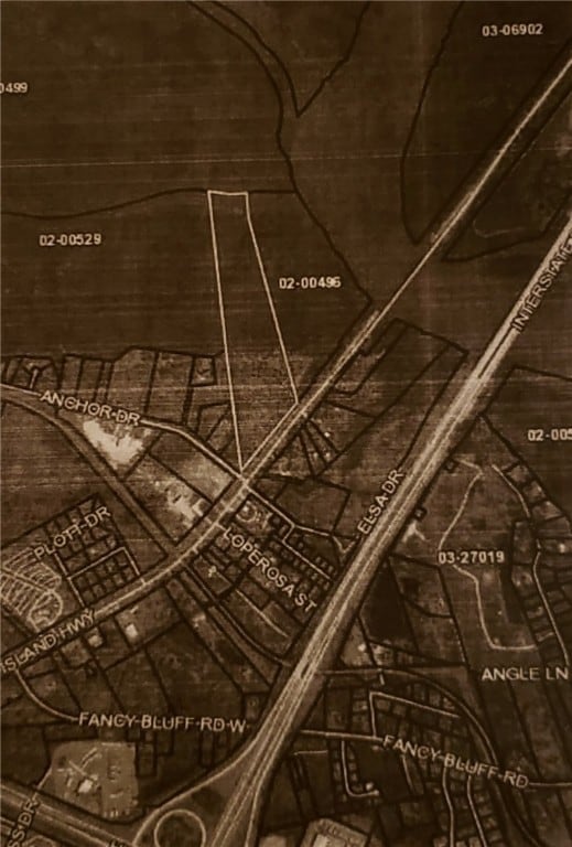 7211 Blythe Island Hwy, Brunswick, GA 31523 - photo 4