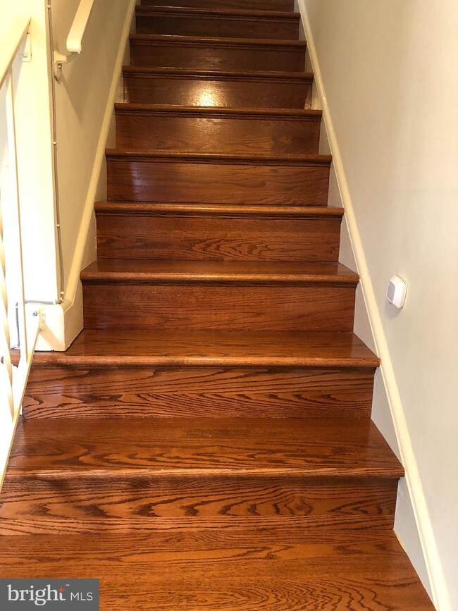 6903 Little Falls Rd, Arlington, VA 22213 - photo 6