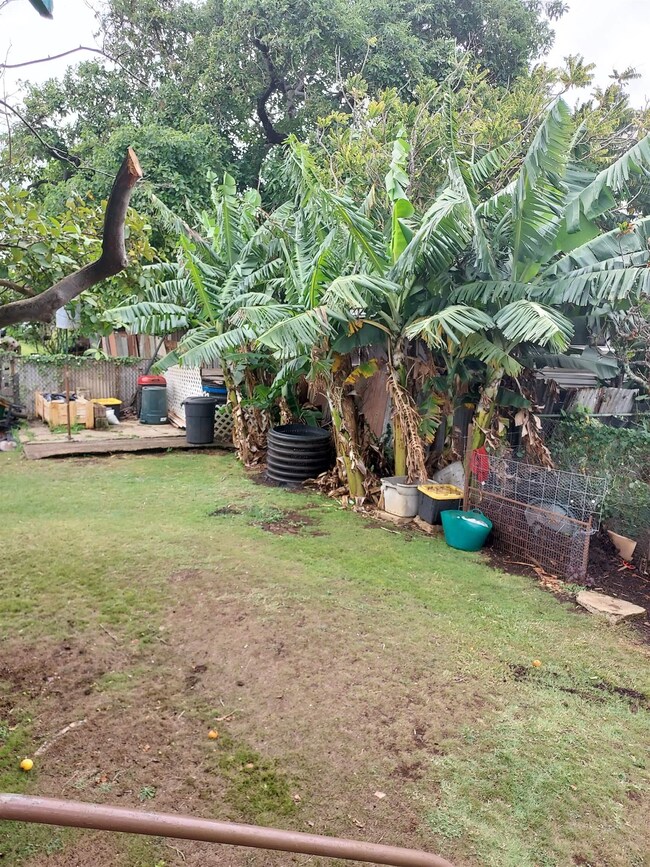 17 Aoiki St, Makawao, HI 96768 - photo 6