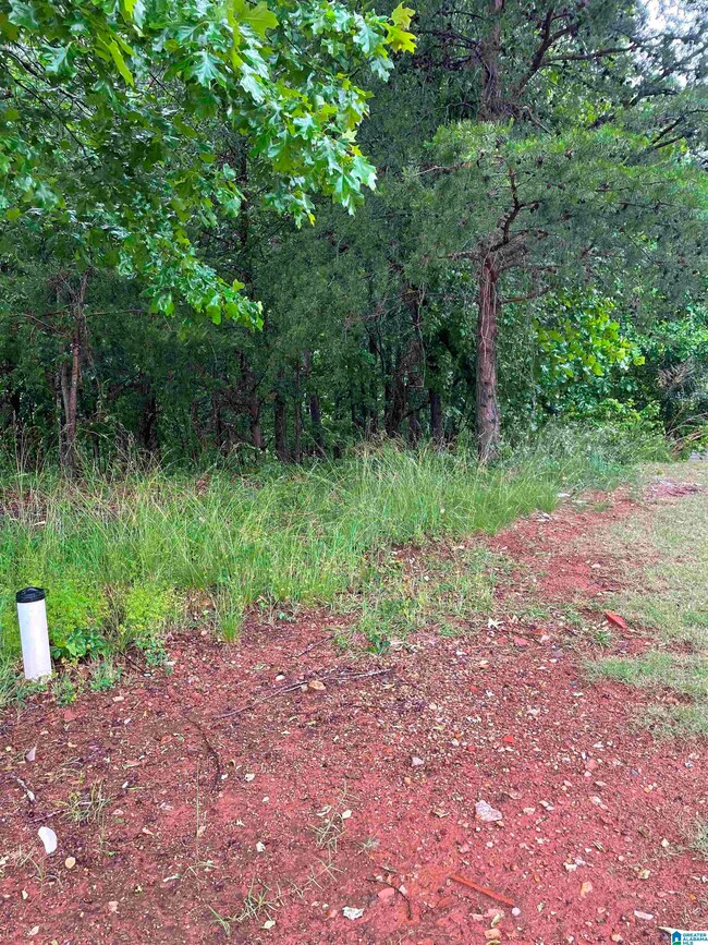 0 Eagle Pass Way unit 33 1353486, Anniston, AL 36207 - photo 3